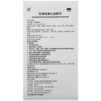 同仁堂 杞菊地黄丸(大蜜丸) 9g*10丸 健脾益肾 丸剂 眩晕耳鸣 羞明畏光