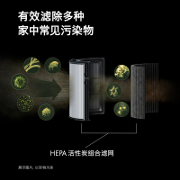 戴森(Dyson)空气净化暖风器 HP12 黑金 546372-01