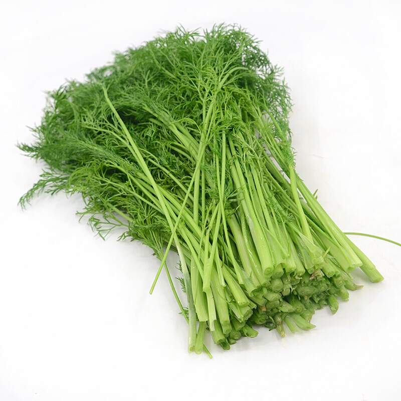 博多客新鲜茴香菜小茴香苗2kg农家蔬菜茴香丸子