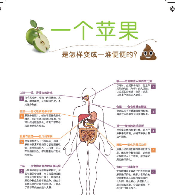 [醉染正版]胃靠养 肠靠清 李博 健脾养胃调理肠胃食谱食疗消化科常见病预防家庭医生科学饮食保健养生健康医学科普百科知识高清大图