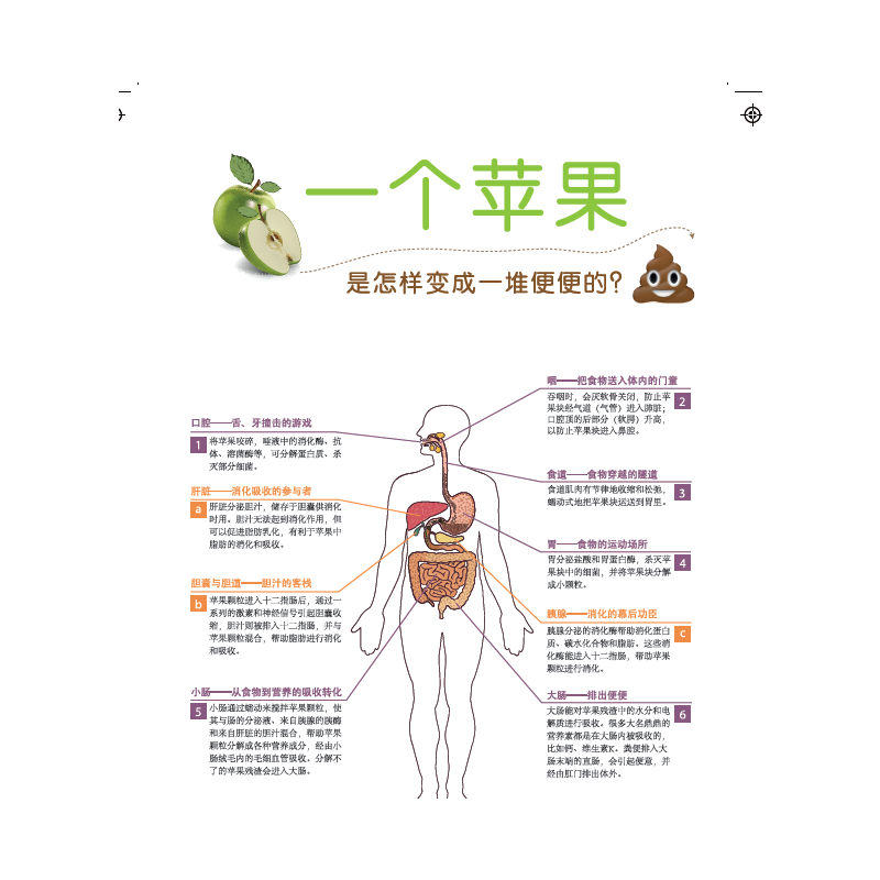 [醉染正版]胃靠养 肠靠清 李博 健脾养胃调理肠胃食谱食疗消化科常见病预防家庭医生科学饮食保健养生健康医学科普百科知识