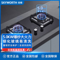 创维(Skyworth)燃气灶双灶具 5.0KW大火力家用猛火台式灶双灶炉具煤气灶不锈钢灶台JZY-Z2166(液化气)