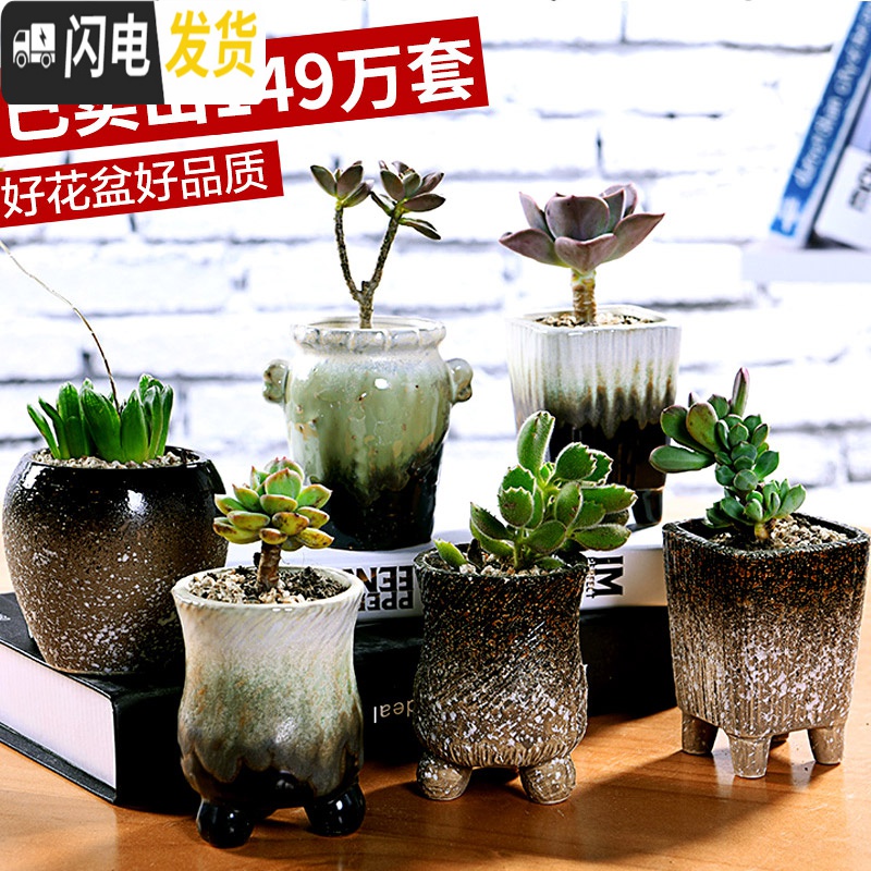三维工匠多肉花盆陶瓷粗陶透气大口径大号盆栽创意小盆栽 款42套装042(4个) 中小花盆容器高清大图
