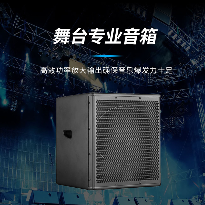 润普(Runpu)国产化会议室展厅教室礼堂报告厅15英寸低音专业会议音响/音箱/喇叭扬声器RP-HYD658