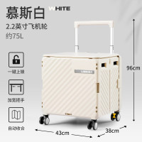 露禾新款买菜小拉车家用轻便携折叠购物车买菜拉杆拖车快递小推车拉货 38*43*46cm 特大号2.2飞机轮 白