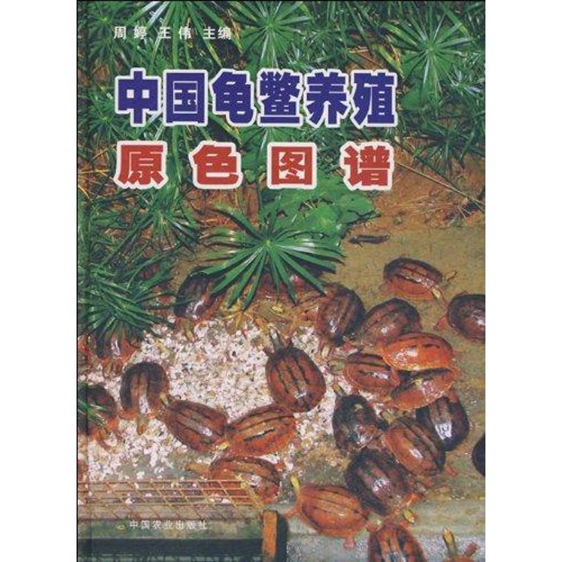 [M]中国龟鳖养殖原色图谱-9787109127647高清大图