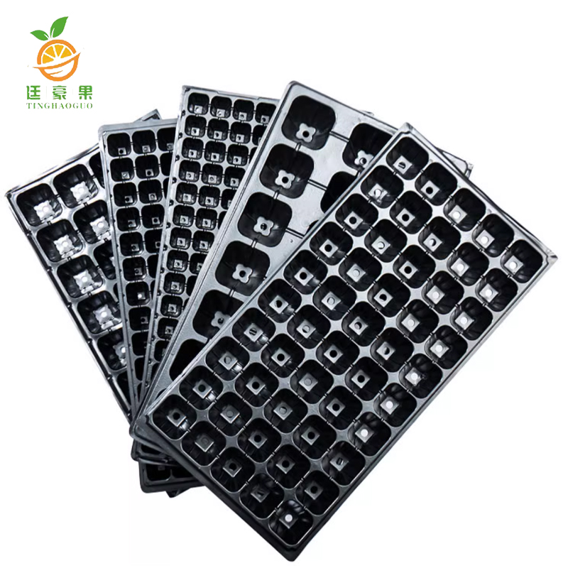 廷豪果 育苗盘 54cm*28cm 200片/箱高清大图