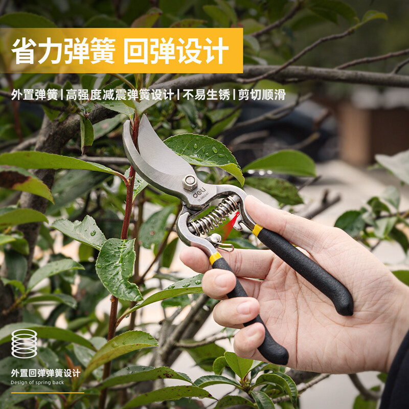 得力(deli)园艺剪套装(黑)2件套DL580241