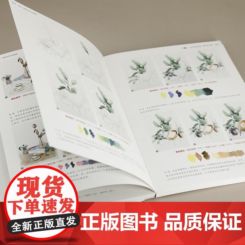 [正版新书]绘见 钢笔淡彩技法教程 余侨姗 清华大学出版社 手绘 钢笔速写 钢笔淡彩 淡彩技法 速写 水彩技法 写高清大图