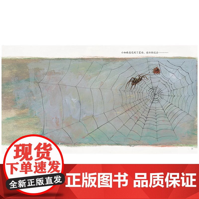 蜘蛛爱吐丝(平装)孩子成长启蒙绘本少儿读物儿童图画书绘本童书江苏凤凰少年儿童出版社正版高清大图