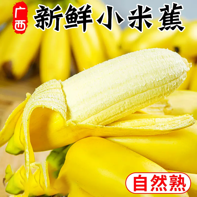 【熊猫鸟】新鲜农家小米蕉 净重5斤 箱装 新鲜当季水果 香甜软糯 孕妇宝宝辅食