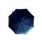 CCSM 雨伞 时尚折叠雨伞 10骨