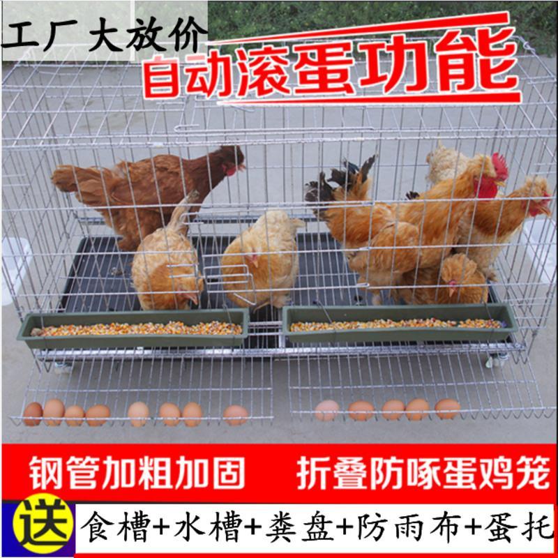 加粗70号X50X60[无轮] 无蛋托款[含食槽水槽脚垫粪盘] 鸡笼子田鸡笼加粗鸡笼网自动下蛋铁鸡舍特大号养殖笼家用折叠