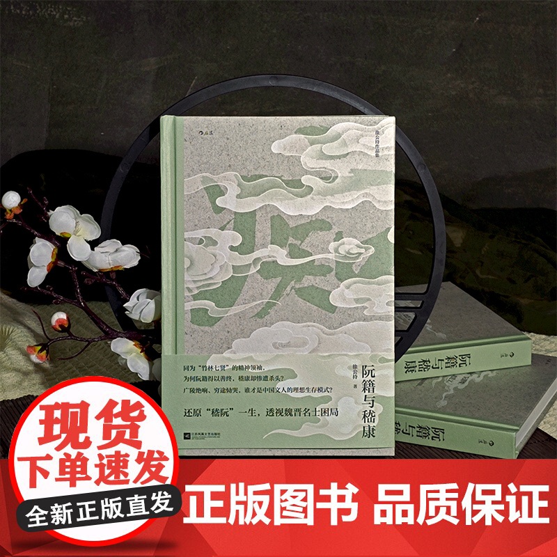 阮籍与嵇康 还原嵇阮一生 透视魏晋名士困局 感怀魏晋风骨高清大图