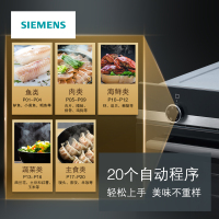 西门子(SIEMENS) 38升嵌入式电蒸箱 不锈钢智能触控蒸箱自动除垢 大容量水箱CD573GBS0W