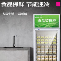 乐创(lecon)商用留样柜 50L 迷你 冷藏 保鲜小冰箱 LC-J-LYG02