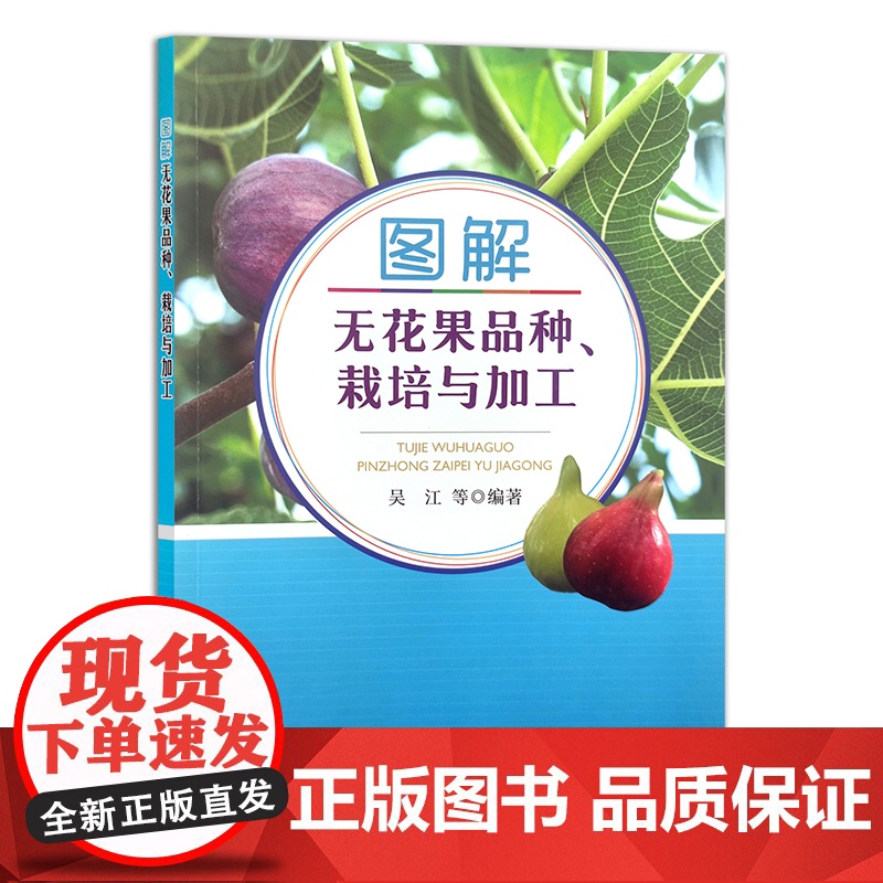 图解无花果品种、栽培与加工 吴江 等 果树园艺 30391高清大图