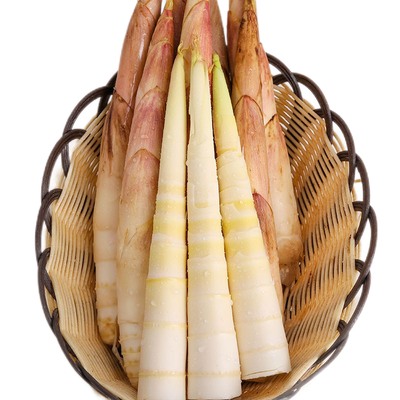 鲜木新鲜雷竹笋临安春笋新鲜雷笋现挖竹笋35斤装新鲜蔬菜生鲜