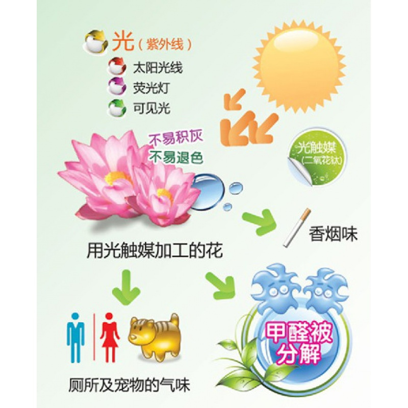 深圳广州东莞上除甲醛室内空气治理苯甲苯氨TVOC清除剂