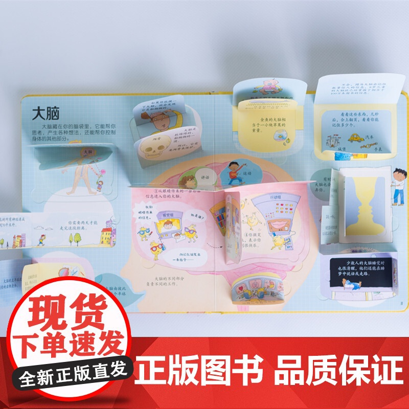 揭秘身体 3-6岁 英国尤斯伯恩出版公司 著 幼儿启蒙 翻翻书高清大图