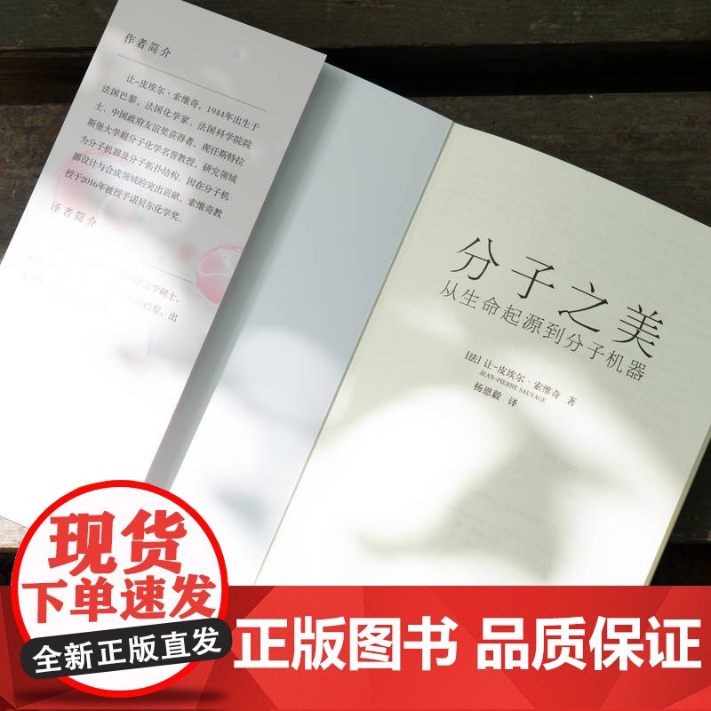 分子之美:从生命起源到分子机器 [法]让-皮埃尔·索维奇高清大图
