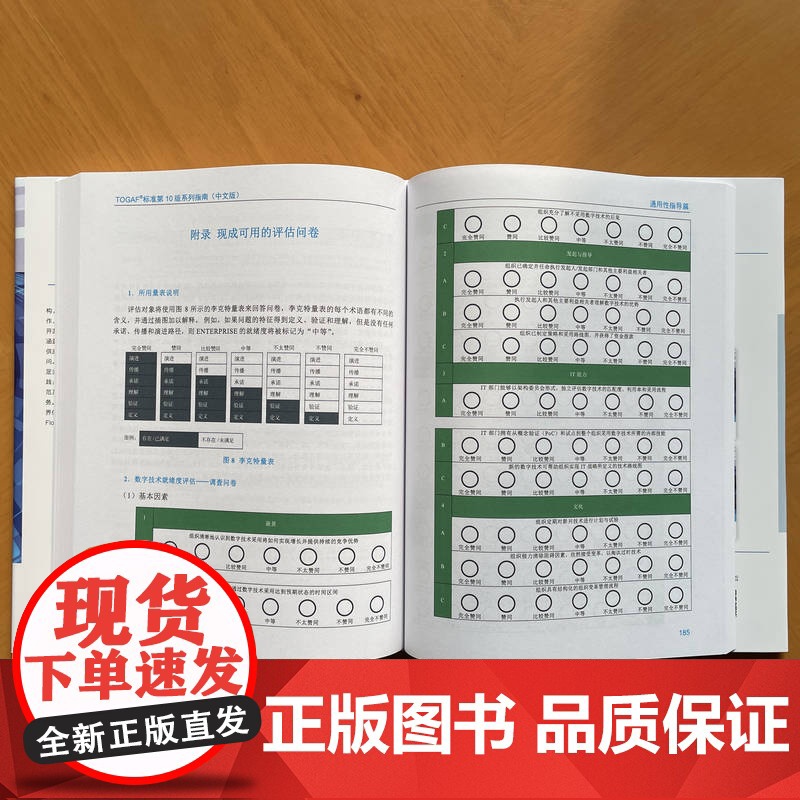 正版 TOGAF标准第10版系列指南 中文版:通用性指导、建设EA团队 开梵标准(The Open Group) 9高清大图
