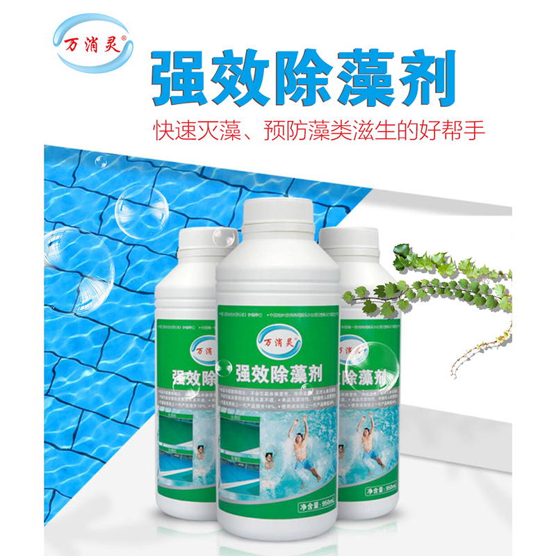 强效环保除藻剂游泳池水上乐园温泉杀藻灭藻水处理剂12瓶/箱高清大图