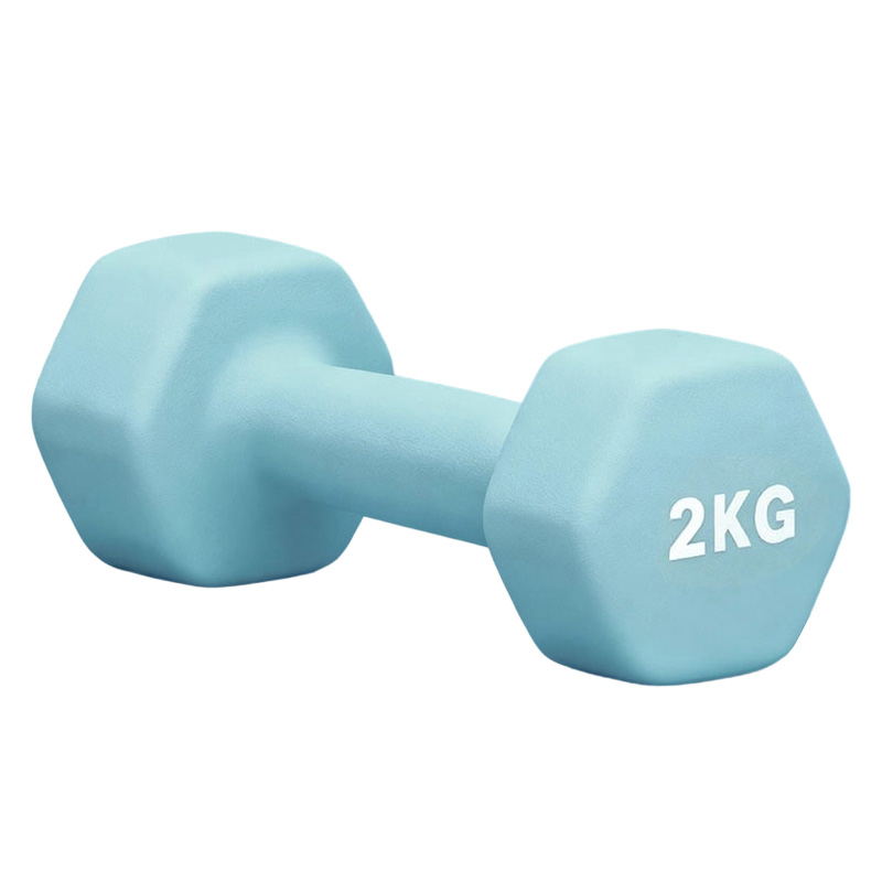 革康 GK-JSQC8084 浸塑哑铃健身锻炼六角哑铃男士运动力量训练2KG*2个彩色小哑铃 浅蓝色高清大图