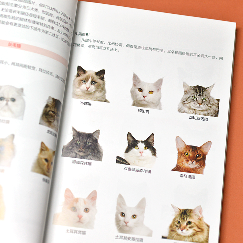 [正版]猫图鉴:170余种纯种猫挑选与饲养指南纯种猫的特征习性宠物猫图鉴文字图解高清鉴赏图片自然科普爱好者动物科普养猫高清大图