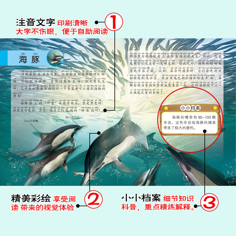 动物小百科[全套10册] [正版]动物小百科全套10册注音版儿童幼儿早教科普故事绘本读物小学生一二年级课外阅读书籍带拼音