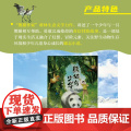 熊猫与少年 百花文艺出版社 fb 蒋林著 动物故事科普知识书f