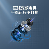 [官方直营]小天鹅(LittleSwan) 变频波轮洗衣机全自动免清洗直驱变频一键脱水除螨洗10公斤TB100V23DB