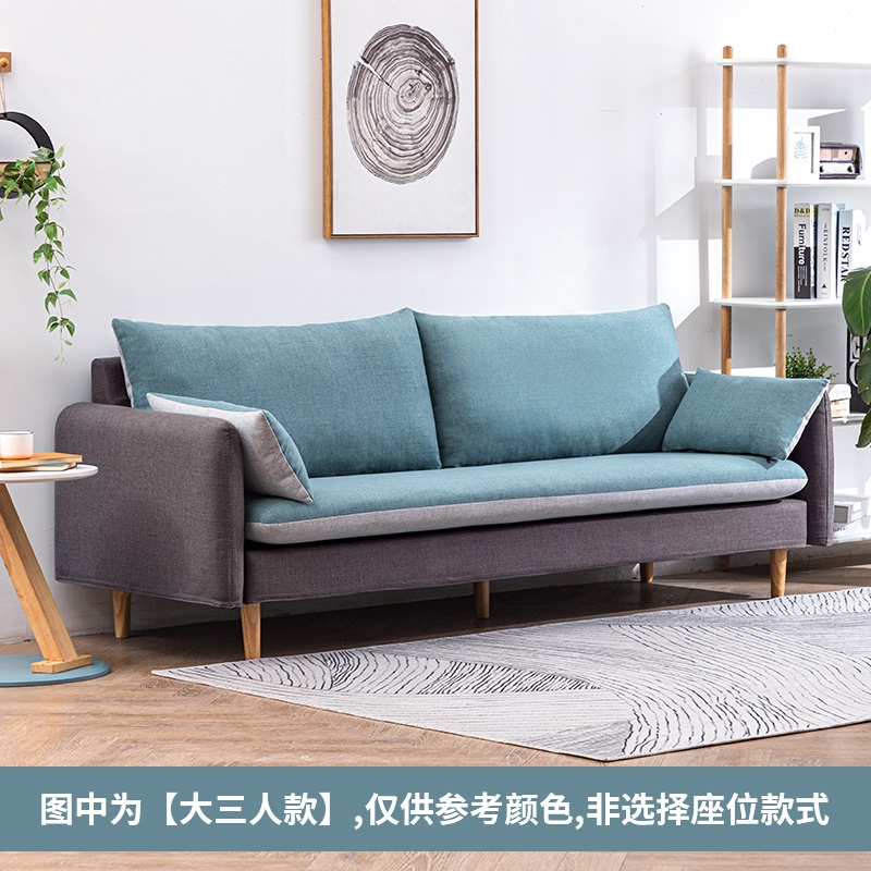 2米5二两人位视频介绍_定制北欧双人沙发小户型阿斯卡利同款空间卧室