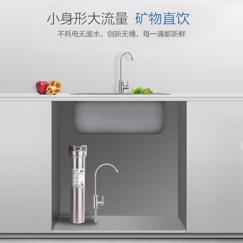 Doulton道尔顿台下净水器家用直饮高端厨房净水HISM12拉丝不锈钢
