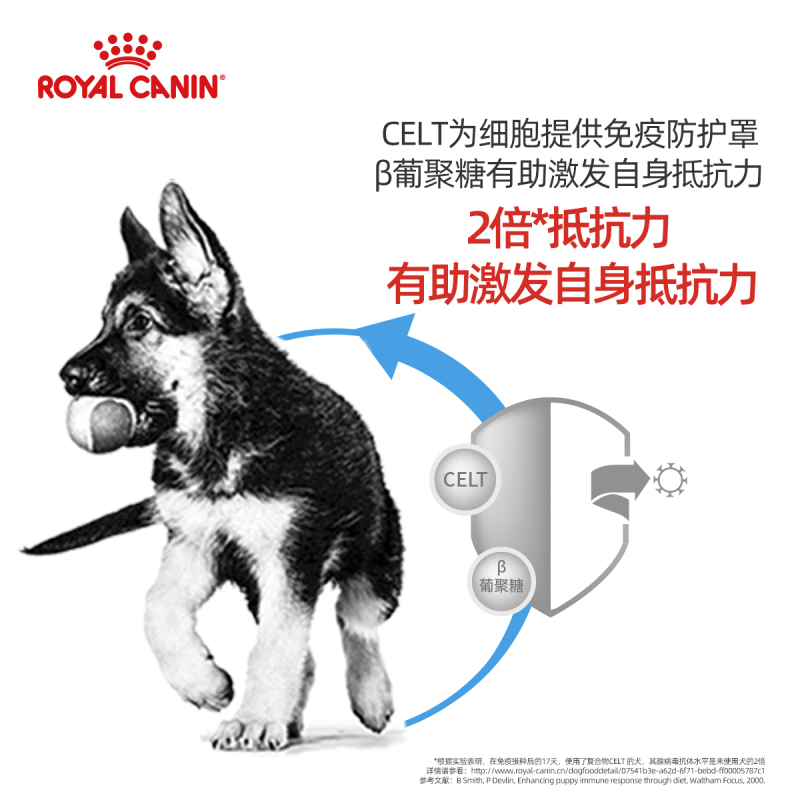 ROYAL CANIN 皇家狗粮 MAJ30大型犬幼犬狗粮 2-15月龄 全价粮 4kg 金毛拉布拉多阿拉斯加秋田马犬