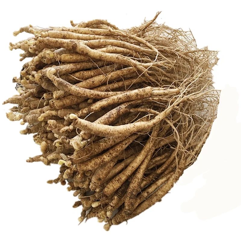 东北长白山新鲜小人参煲汤泡酒现挖湿人参 鲜参炖汤小人参新鲜 精品鲜