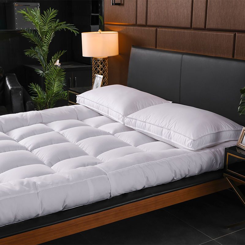 sleepy bear 加厚10cm羽丝棉床垫双人家用可折叠学生宿舍榻榻米软床褥