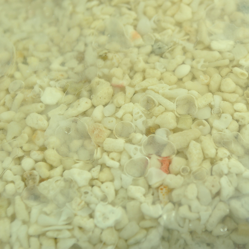 海水活砂造景活沙海水缸铺底砂活砂海水缸开缸沙底砂高清大图