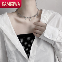 KAMIXIWA钛钢项链男潮嘻哈冷淡风女设计感轻奢小众高级感锁骨链秋冬毛衣链