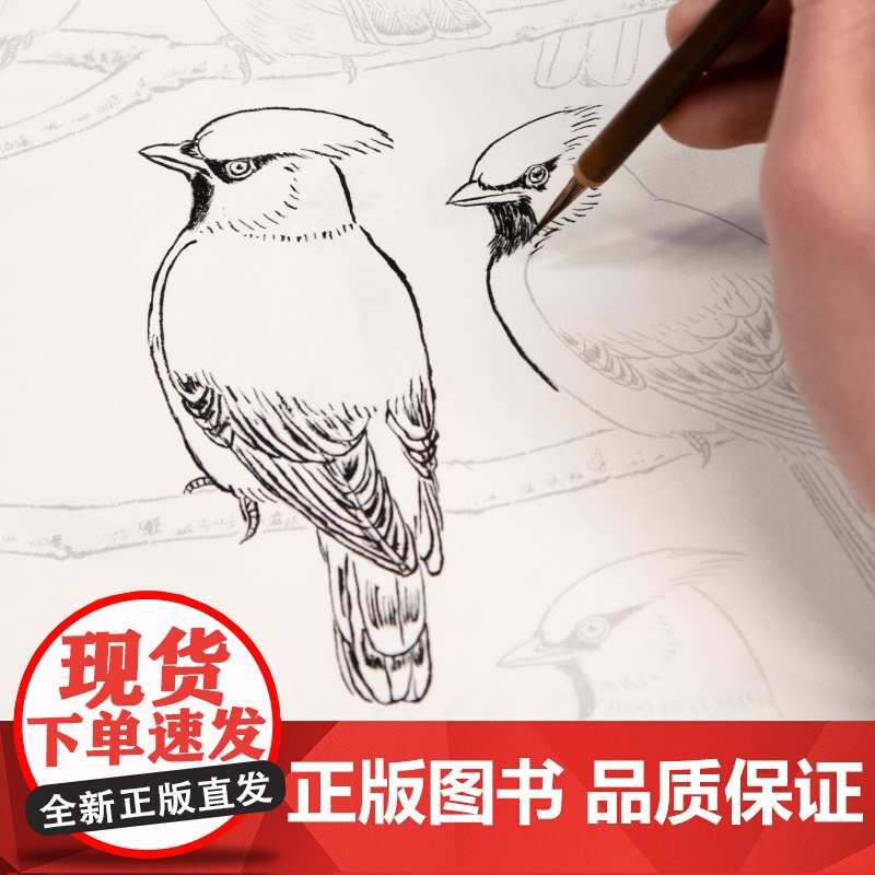 [送笔墨碟]工笔画白描描摹本上下2册/基础训练篇+强化提高篇sh高清大图