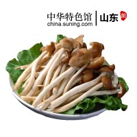 【中华特色】山东馆 阚泽海 茶树菇菌包食用菌棒菌包 菌种种子 蘑菇多肉 家庭阳台蘑菇养殖菌包 华东