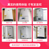 威特尼(Vaitny) 30KW冷凝式壁挂炉 NX系列 采暖炉热水器两用(天然气) 一级能效进口配件180-250㎡