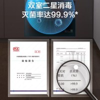 万和(Vanward) 100升二星级消毒柜 嵌入式高温消毒柜 家用碗筷餐具厨房消毒碗柜 ZTD100Q-D5