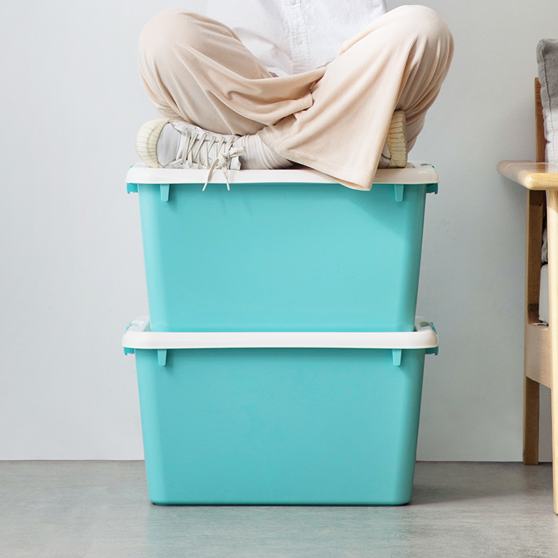 茶花 50L精致收纳箱50L/个高清大图