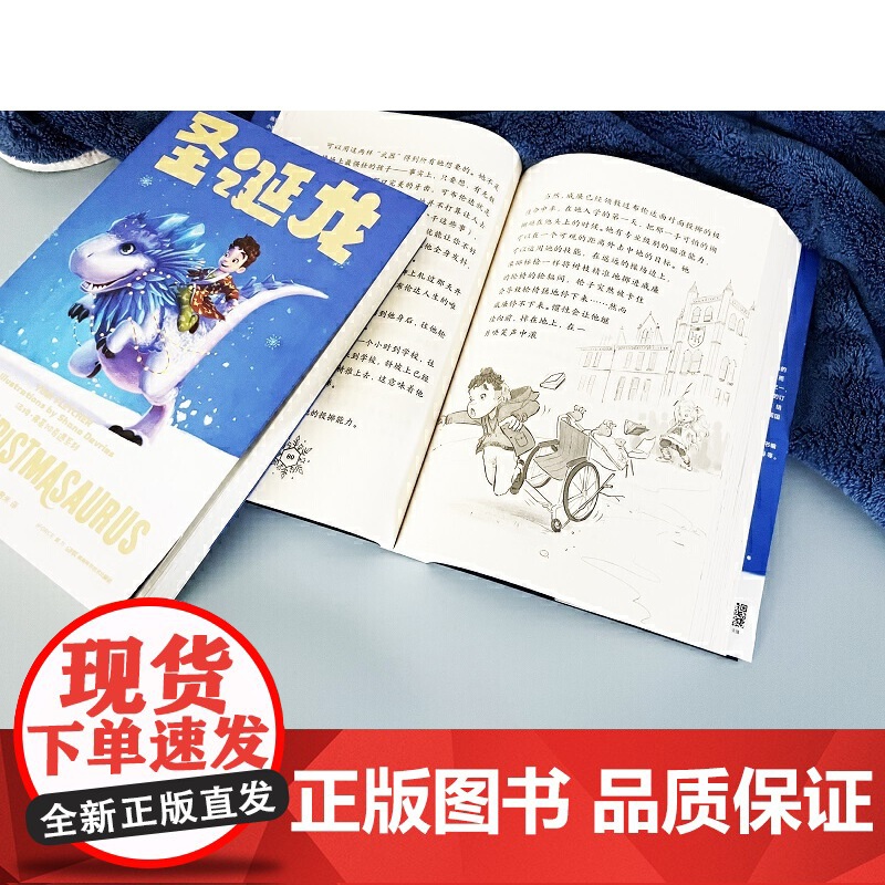 圣诞龙 汤姆·弗莱彻奇遇系列高清大图