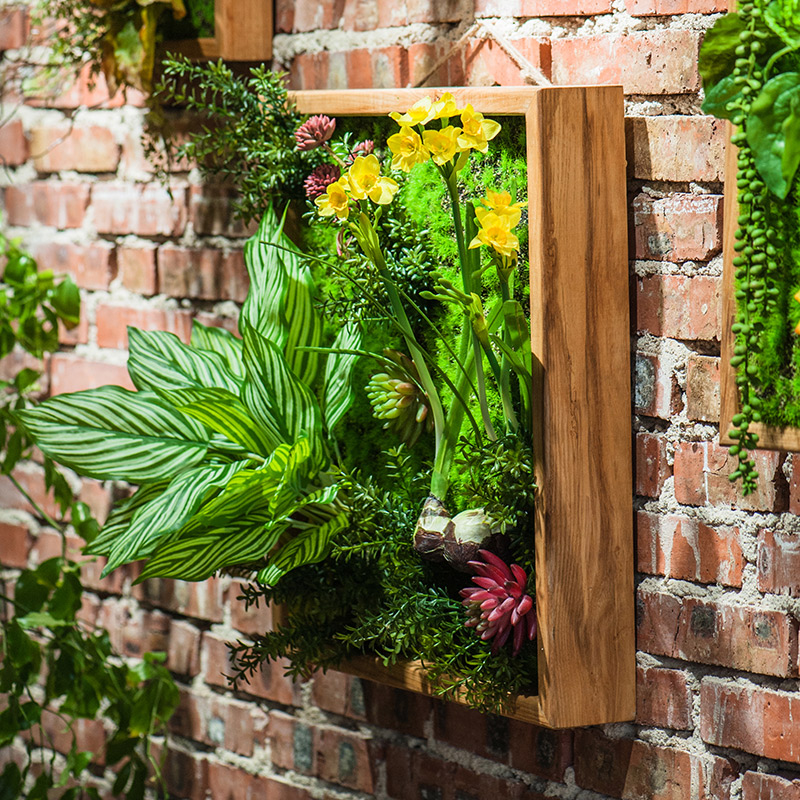 美帮汇仿真绿植框 绿植墙多肉组合植物背景墙 装饰壁饰花墙 F(30X30)高清大图