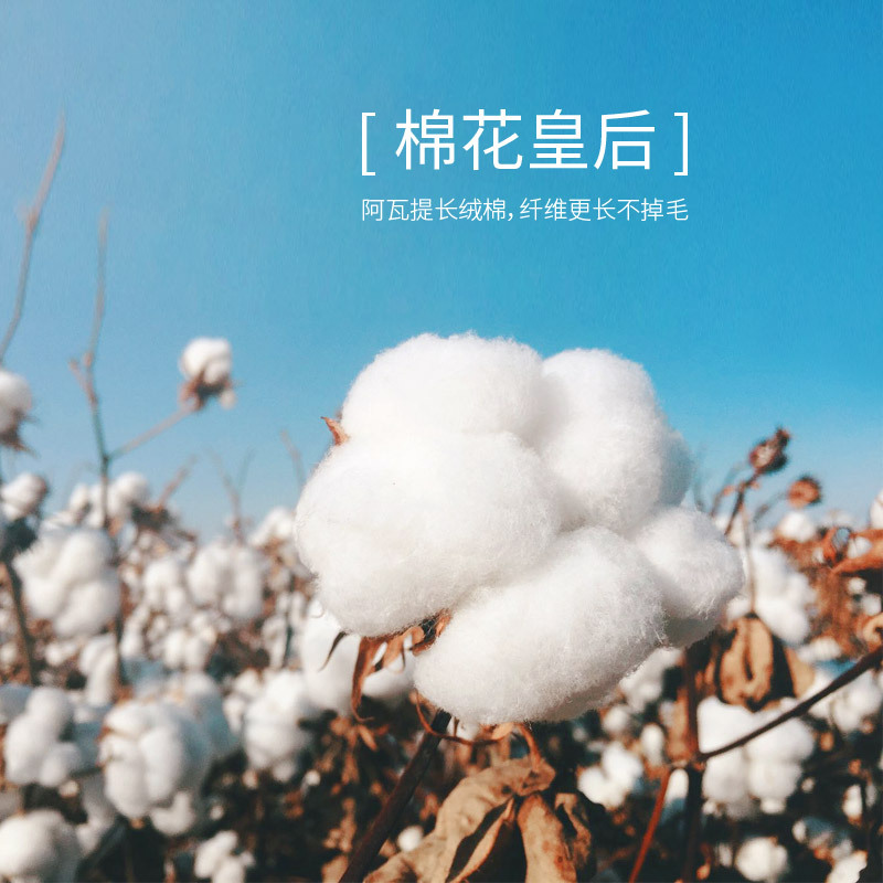 七星语(QIXINGYU) 小米方巾34*34 单条装