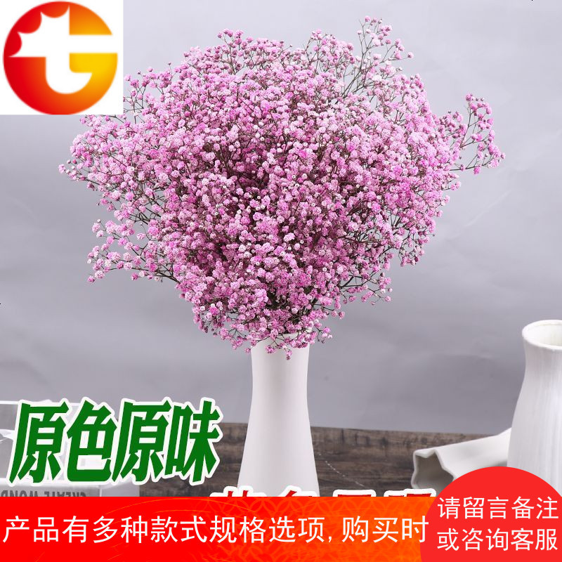 满天星花束干花装饰论斤卖客厅永生花家居摆件云南小清新风干文艺