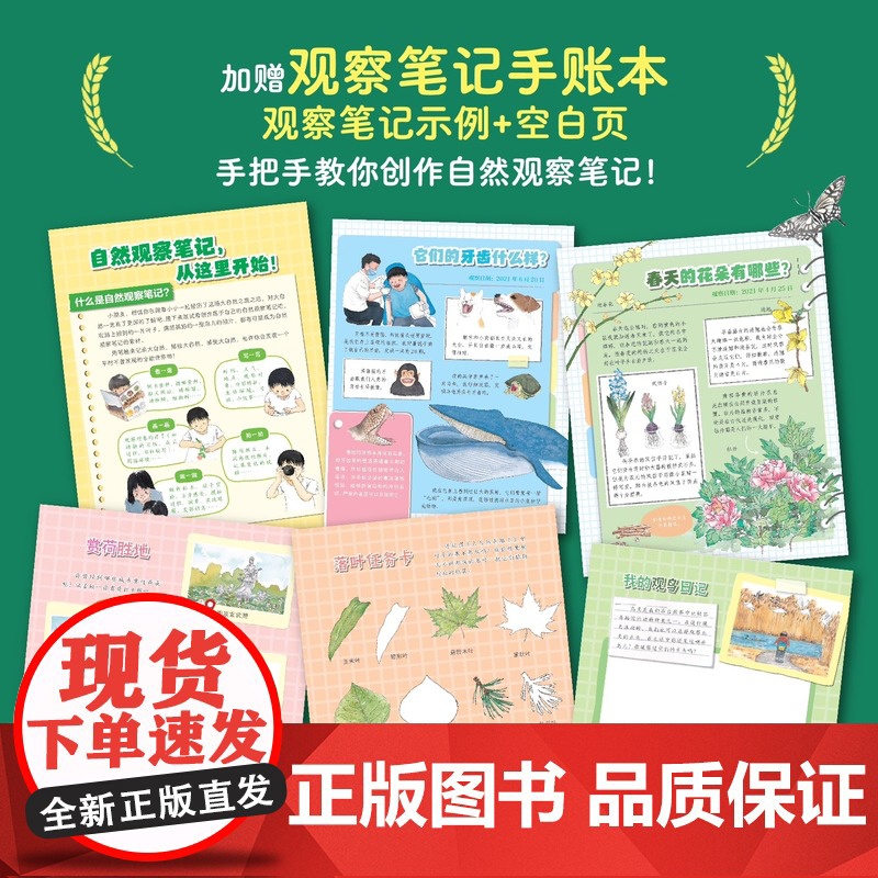 2025新版 小小的自然观察笔记 珍藏版 儿童科普启蒙绘本 8-12岁儿童趣味自然百科全书 小学生自然物语书籍2025高清大图