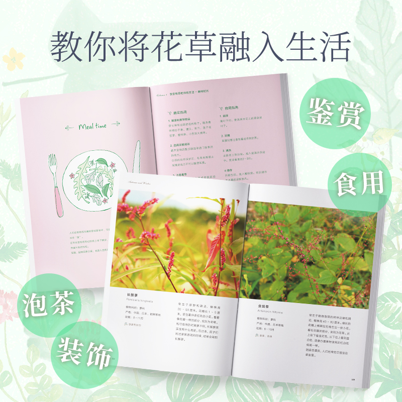 [醉染正版]花草时光一草一天堂 赠花草便签本 森乃乙书籍生活养花书江苏凤凰文艺出版社鉴赏食用泡茶装饰将花草融入生活治愈身高清大图
